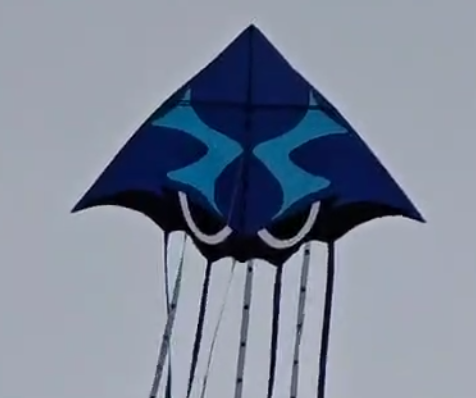 Delta Octopus