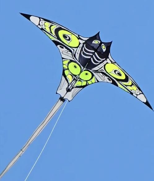 Manta